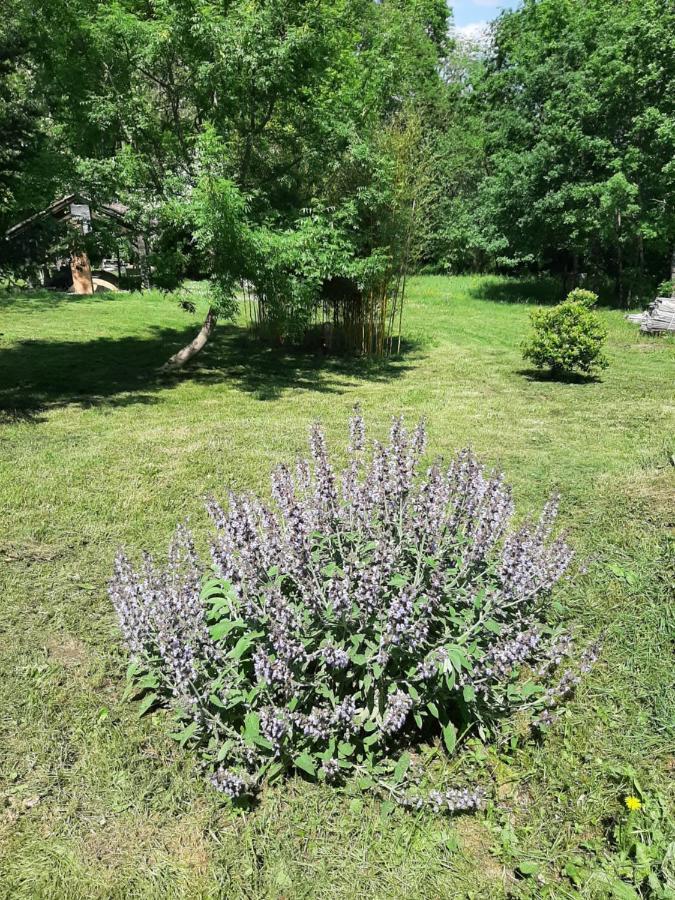 Chambre Soignee Et Accueillante A La Campagne - Ch Rouge L'Honor-de-Cos Dış mekan fotoğraf